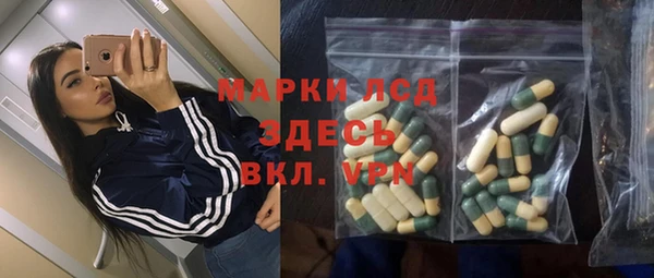 прущие грибы Новозыбков