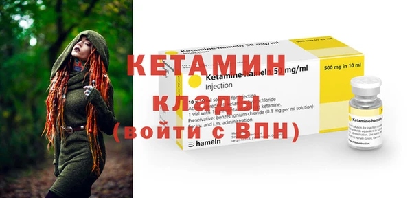 прущие грибы Новозыбков