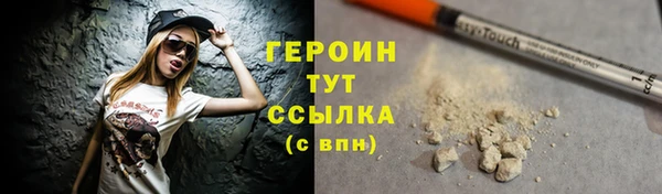 прущие грибы Новозыбков