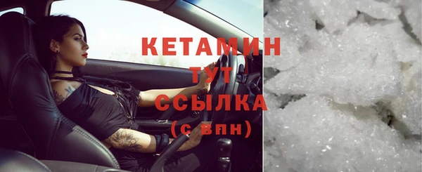 прущие грибы Новозыбков