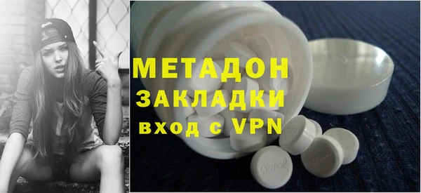 прущие грибы Новозыбков