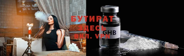 прущие грибы Новозыбков
