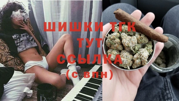 прущие грибы Новозыбков