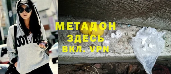 прущие грибы Новозыбков
