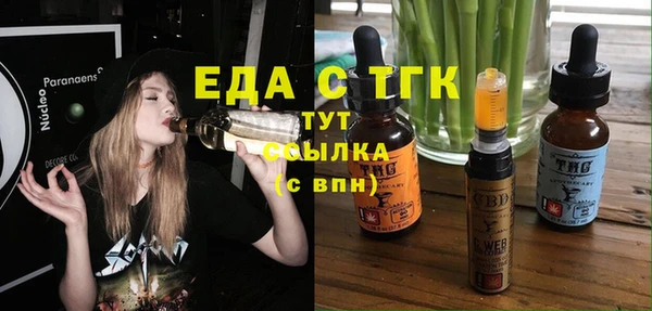 прущие грибы Новозыбков
