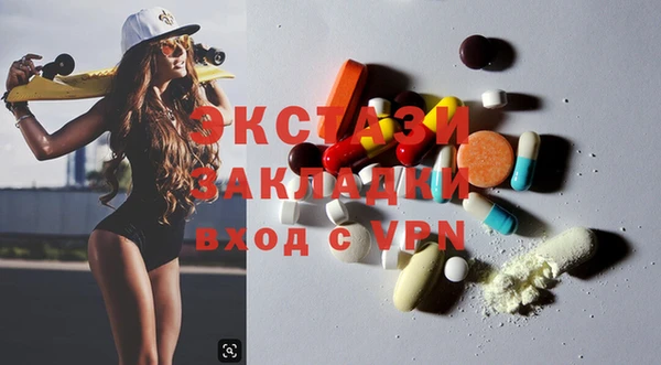 прущие грибы Новозыбков